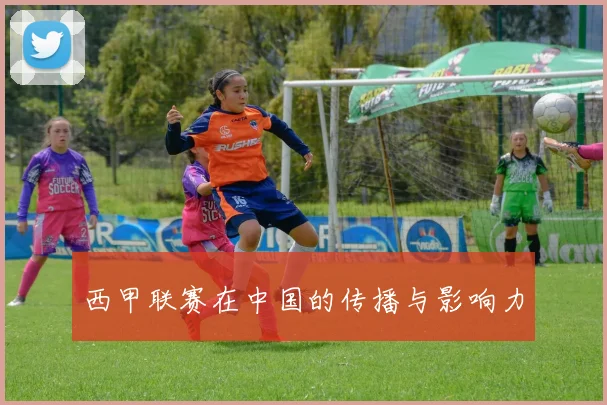 西甲联赛在中国的传播与影响力